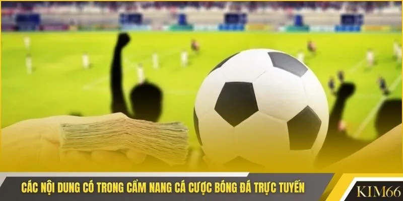 Các nội dung có trong cẩm nang cá cược bóng đá trực tuyến