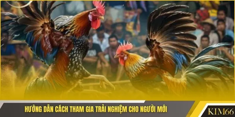 Hướng dẫn cách tham gia trải nghiệm cho người mới