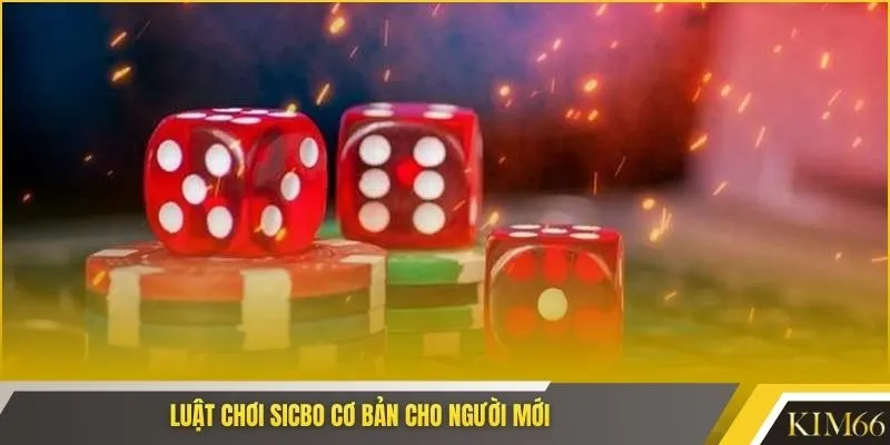 Luật chơi sicbo cơ bản cho người mới