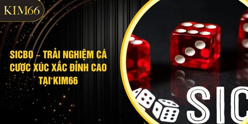 Sicbo – Trải Nghiệm Cá Cược Xúc Xắc Đỉnh Cao Tại KIM66