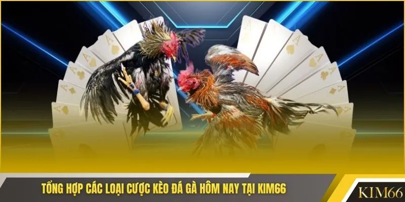 Tổng hợp các loại cược kèo đá gà hôm nay tại KIM66